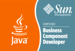 Sun Certified Business Component Developer